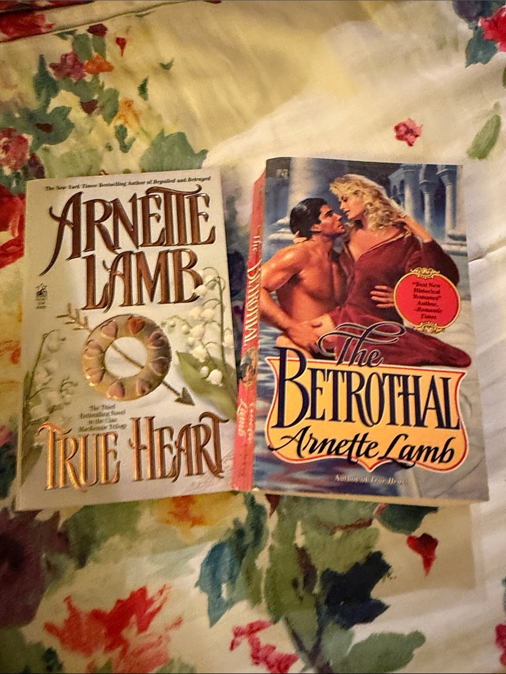 Arnette Lamb Romance Paperback Books